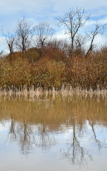 Here Come the Floods