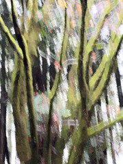 Moss in Motion