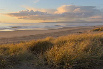 Bay Grasses