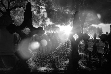 Spirits in the Web