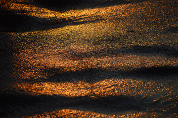 Moving Shores