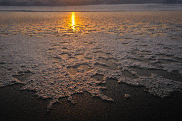 Fractal Shore