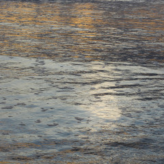 Reflective